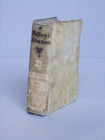 Restauro: Observationes anatomicae di Gabriele Falloppio